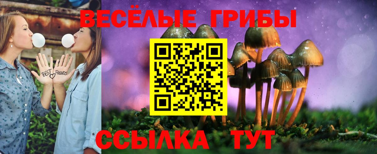 Псилоцибиновые грибы мухоморы  Вход с VPN  Псилоцибиновые грибы Psilocybe  Сургут 